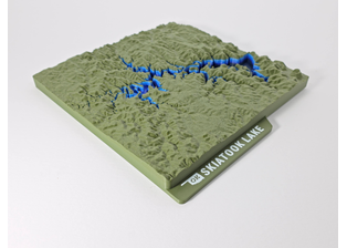Skiatook Lake Topographic Map - Hero Image